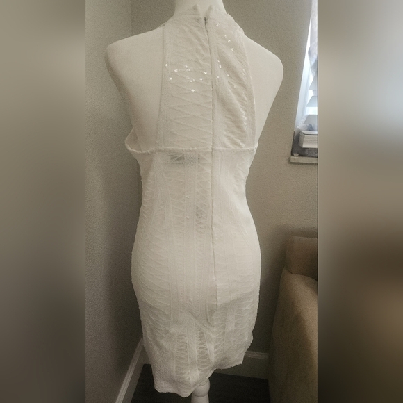 Bachelorette Bundle NWT Sequined Dress And Faux Fur Stole - Picture 5 of 11